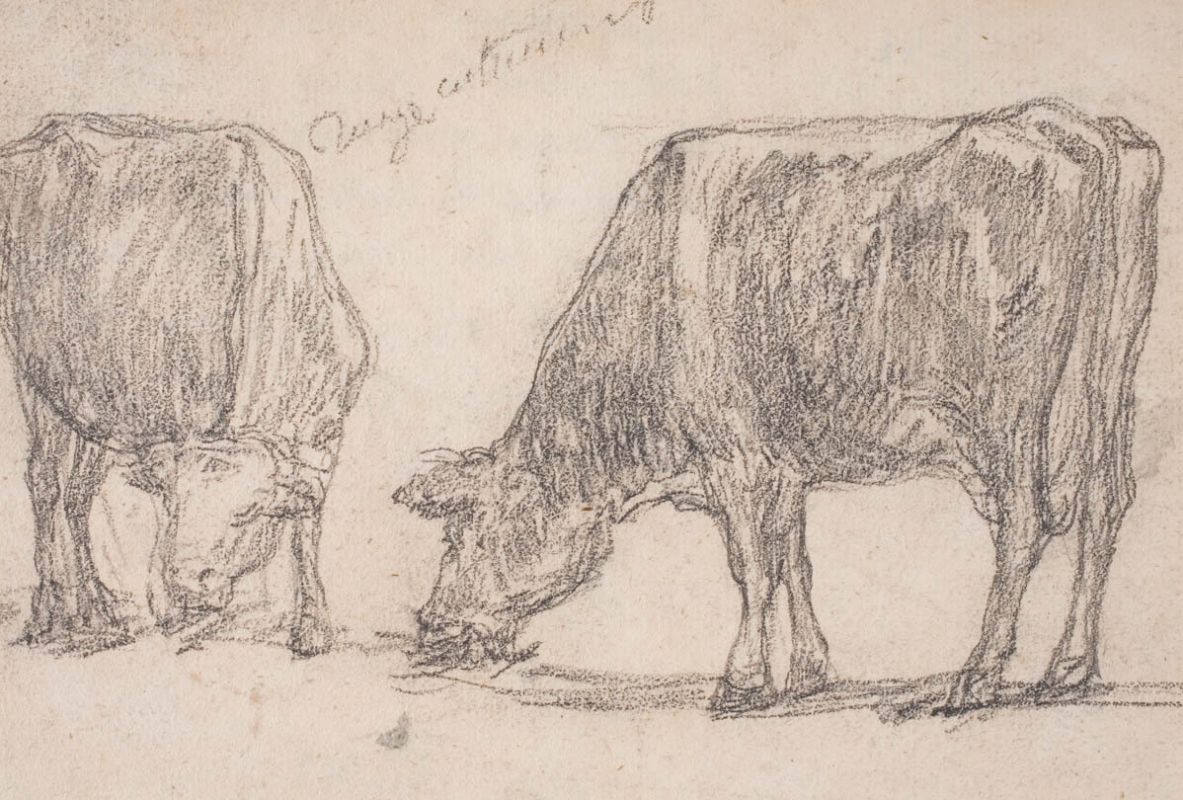 Эжен Буден. "Две коровы". 1859. Музей современного искусства Андре Мальро, Гавр.